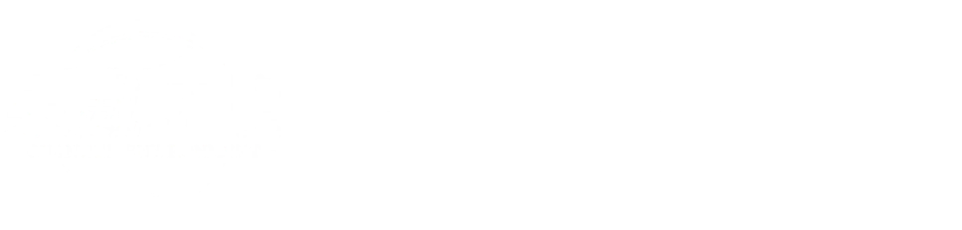 Quanwei
